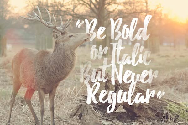 best-free-fonts-2015