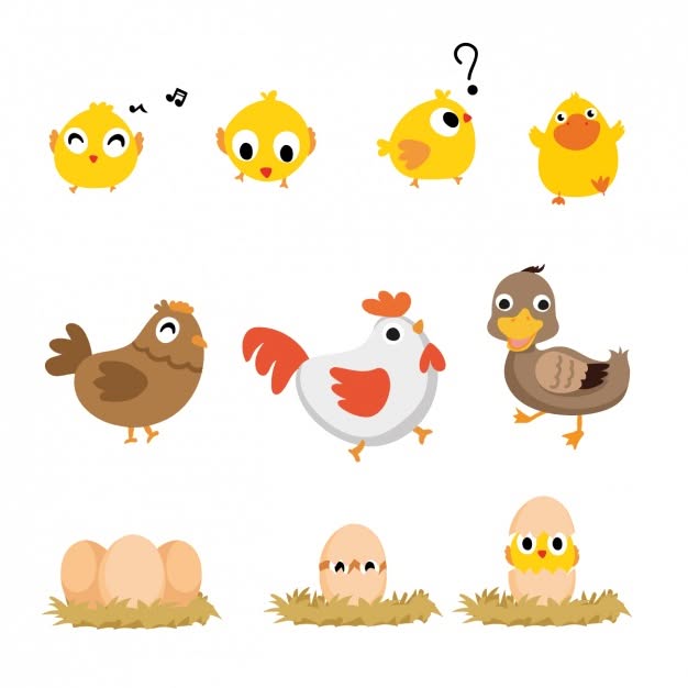 duck-files-icons