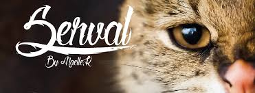 serval-fonts